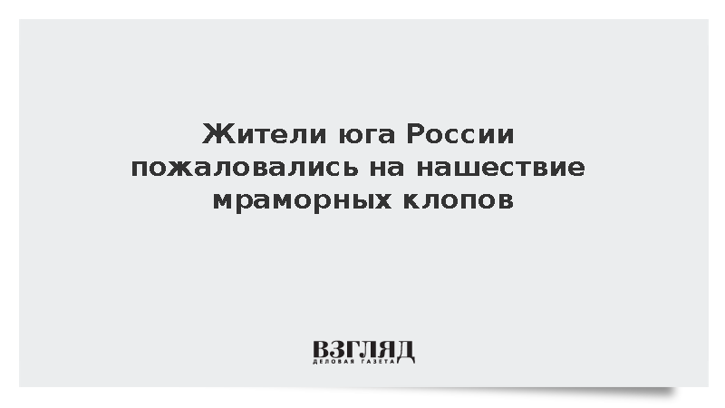 На юге России зафиксировали массовое нашествие мраморных клопов