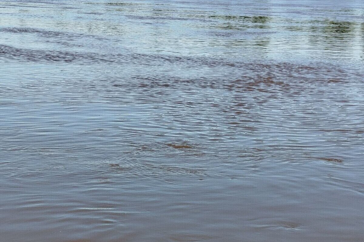 «Мурманскводоканал» не рассказал о береговом выпуске сточной воды на Туломе