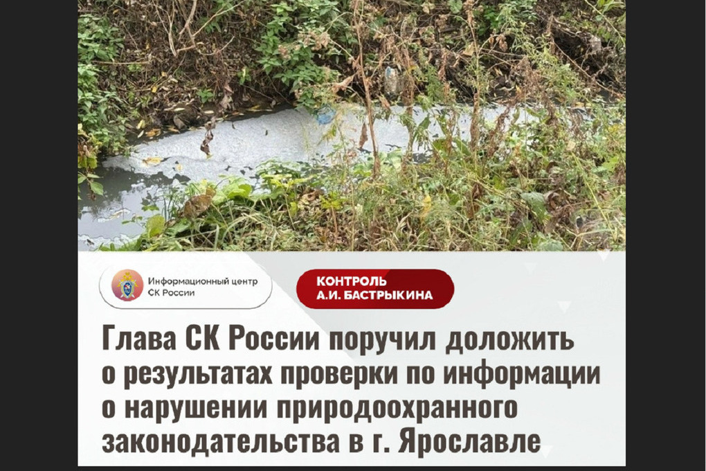 Главе CKP доложат о ярославской речке Толгоболке