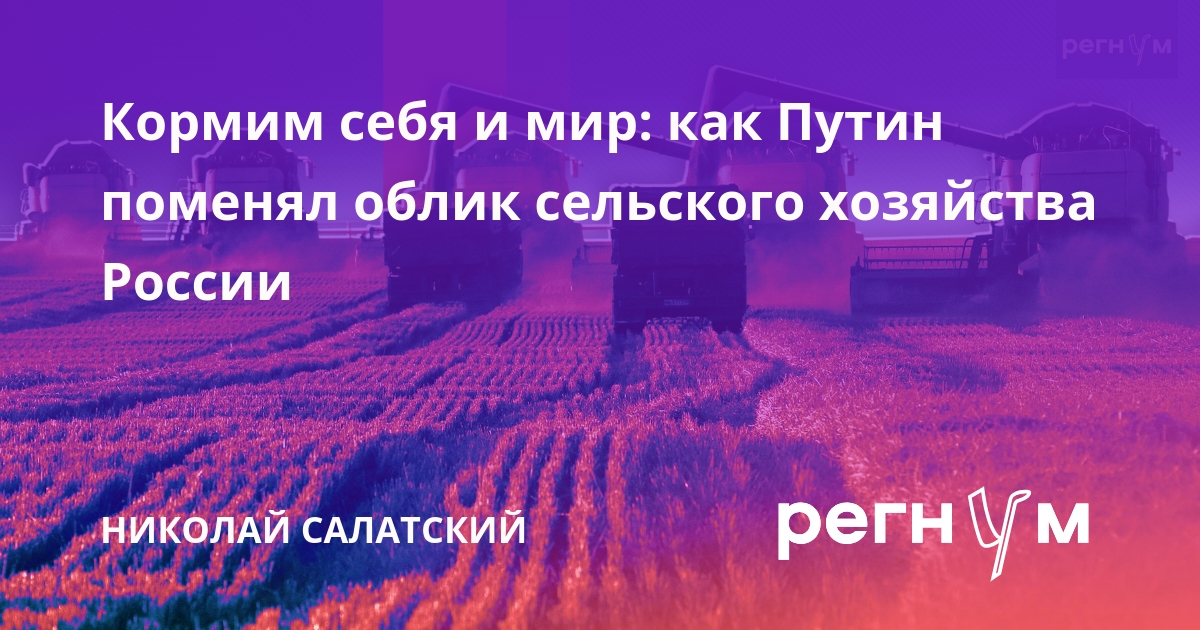 Кормим себя и мир: как Путин поменял облик сельского хозяйства России