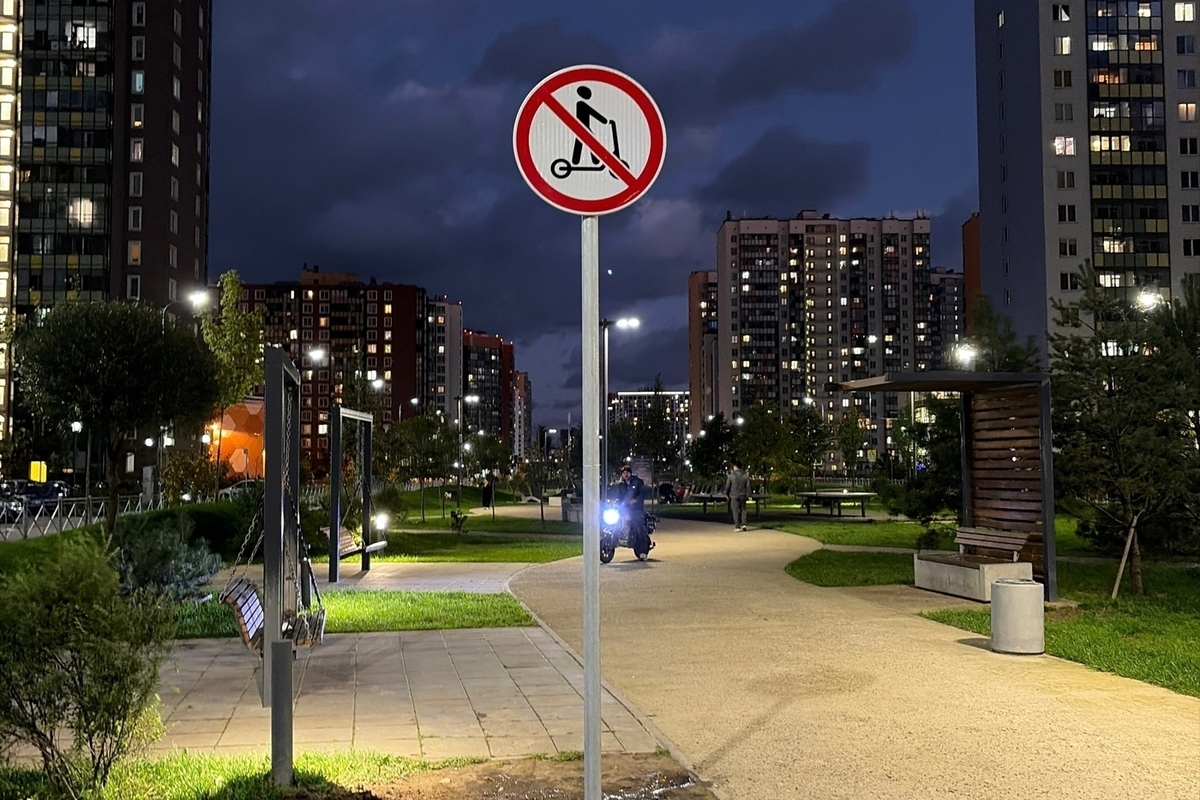 В Мурино организуют движение и парковки электросамокатов