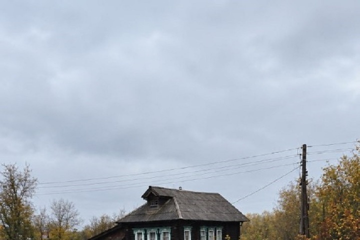 Минлесхоз: медведи у сёл Нижегородской области не проявляют агрессии