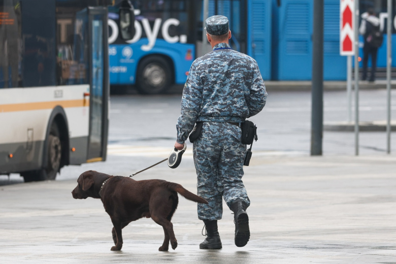 В Подмосковье пятые сутки ищут девочку, не вернувшуюся с велопрогулки