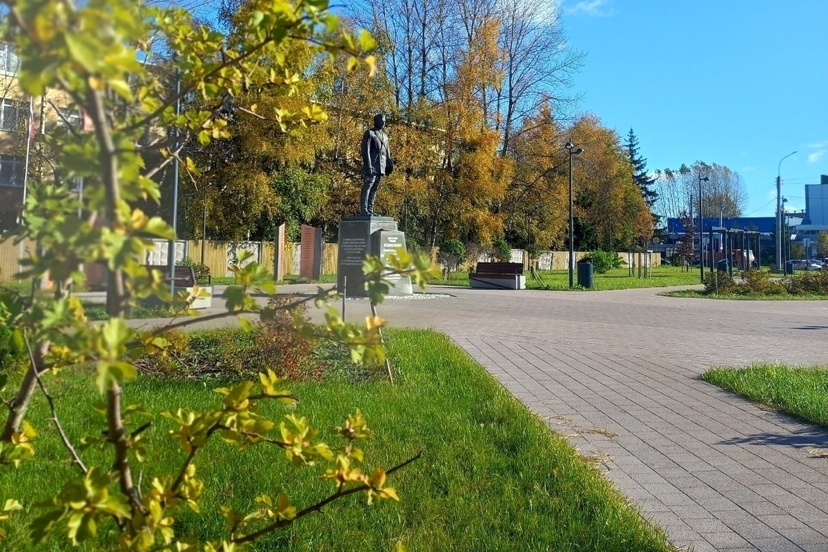 В обновленном за 23 млн сквере Защитников Отечества готовят место под изгородь