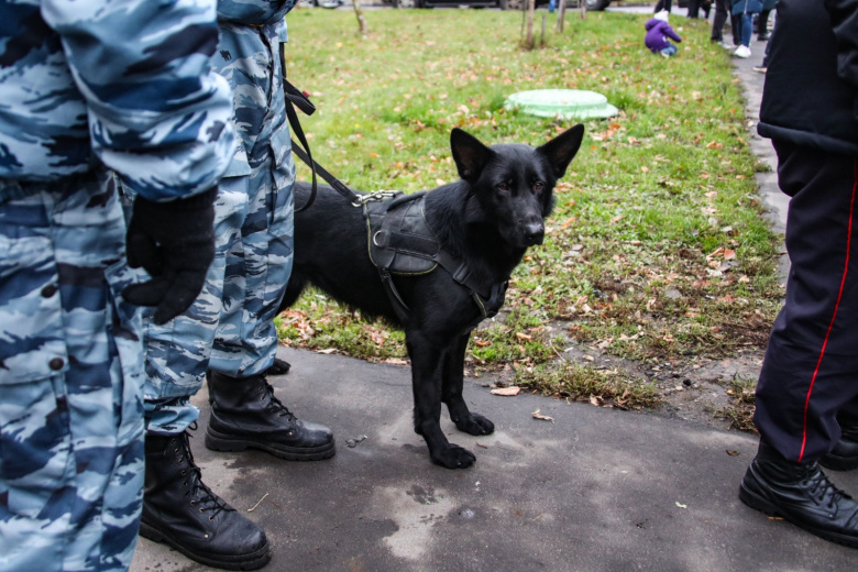 Пропавшую в Красногорском округе школьницу нашли живой