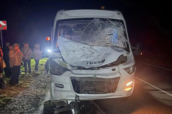 Туристический автобус сбил лося в Чувашии