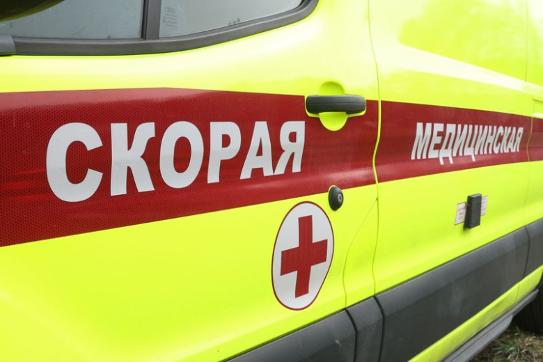 Москвич убил жену и избил пасынка
