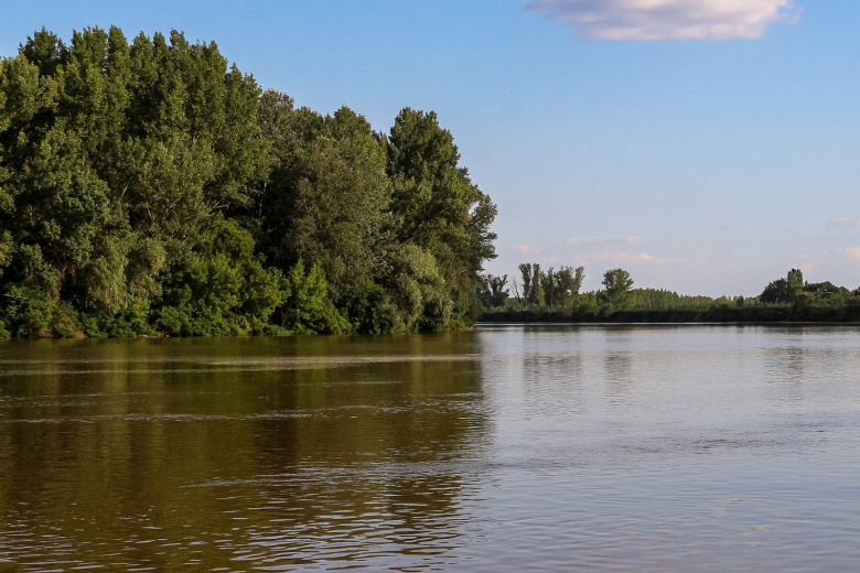Пьяная пара решила искупаться в Енисее и едва не утонула