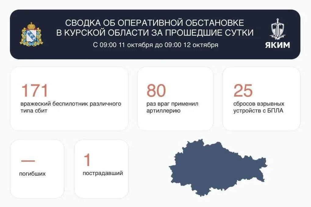 Хинштейн: за сутки над Курской областью сбили 171 беспилотник