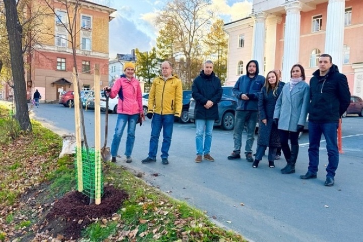 В Петрозаводске у Дома офицеров появилась новая липовая аллея