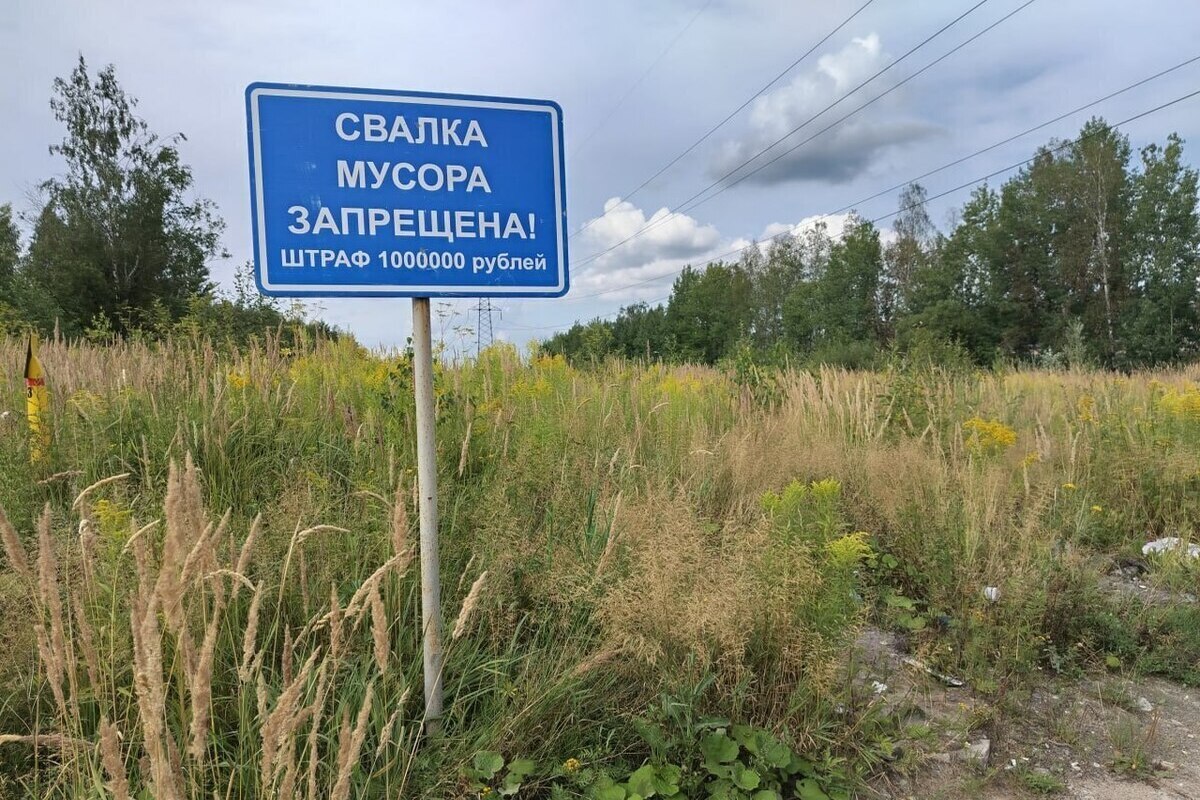 Около 180 тонн строймусора разгребут у гаражей в Кировске за 1,7 млн рублей