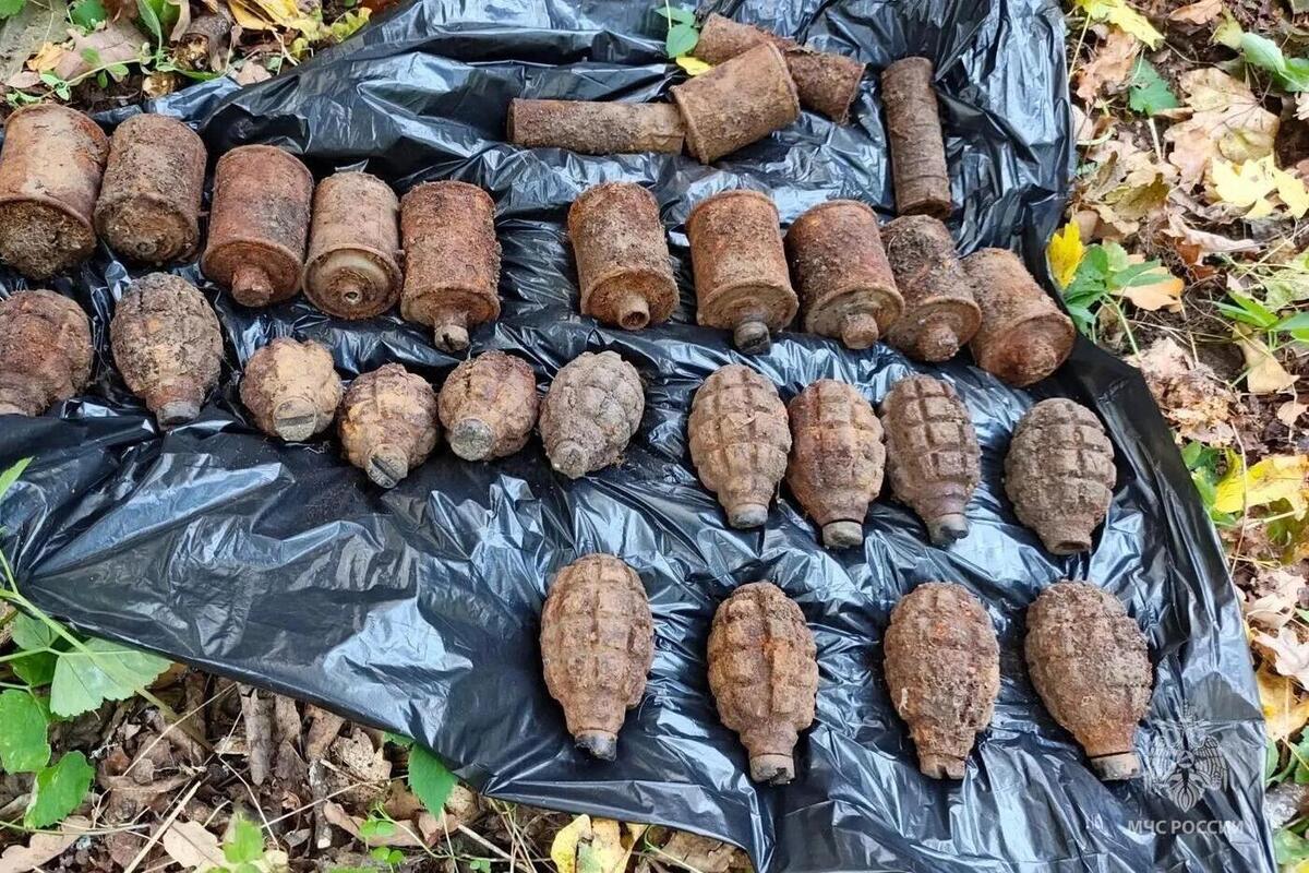 В Алексеевском округе нашли схрон со старыми гранатами