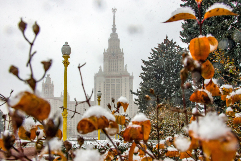 Стало известно, когда в Москве может выпасть первый снег