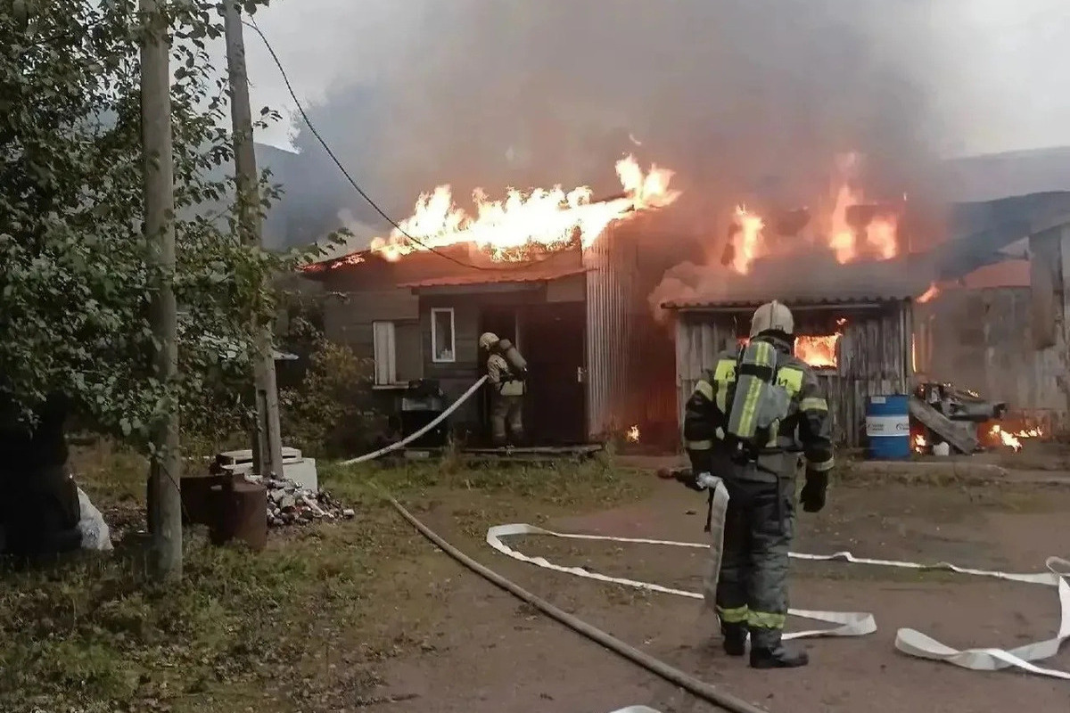 За неделю спасатели Ленобласти потушили 51 пожар и устранили последствия 40 ДТП