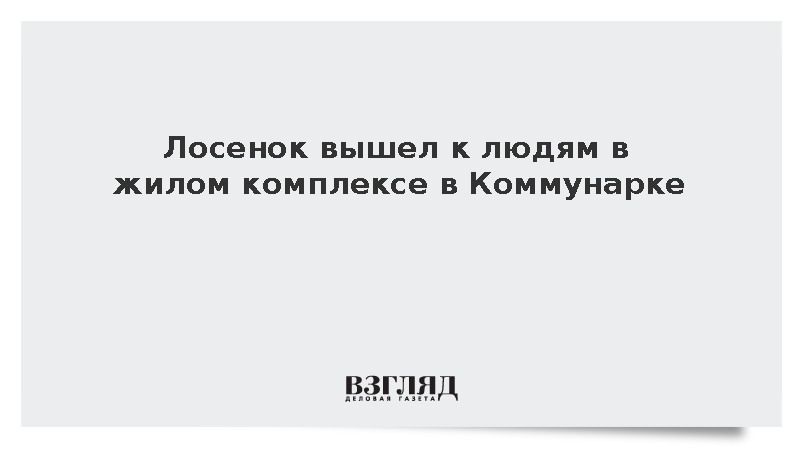 В жилом комплексе в Коммунарке заметили гуляющего лосенка
