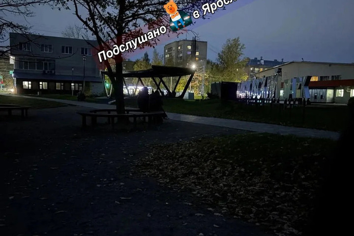 В ярославской Павловской роще снова погасли фонари