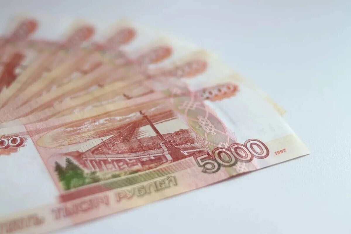 «ЖКС №2 Приморского района» заказал огнезащиту чердаков на 2,9 млн
