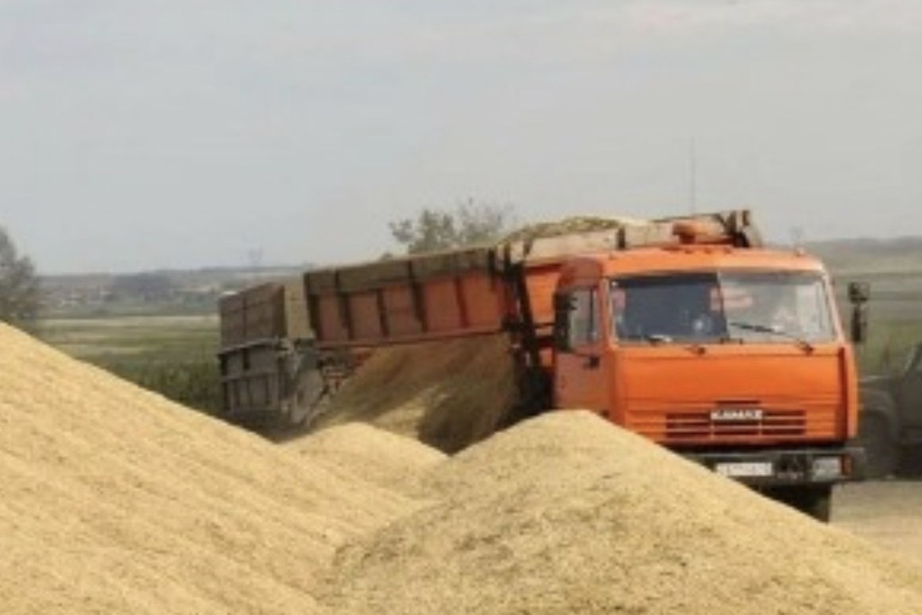 1,1 млн тонн тамбовского зерна проверили при перевозках по России