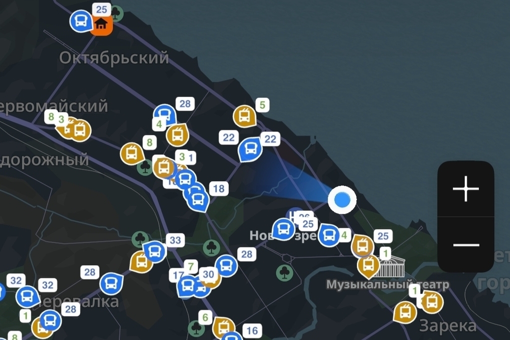 Петрозаводский общественный транспорт теперь под присмотром
