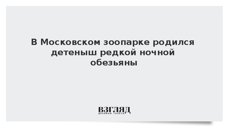 В Московском зоопарке появился на свет детеныш боливийской мирикини