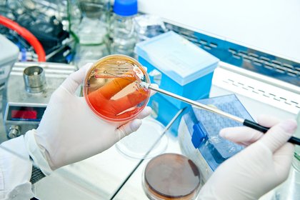 В готовой еде магазина «ВкусВилл» в Москве нашли опасную бактерию