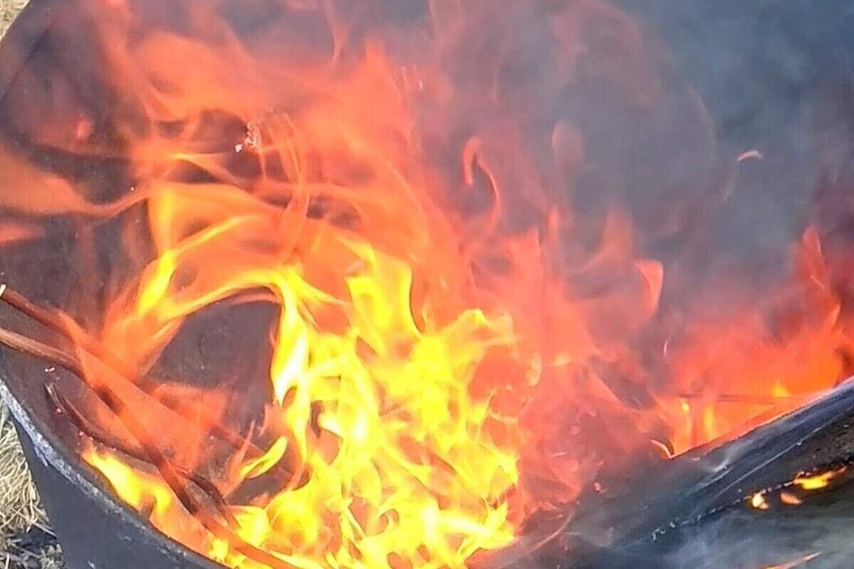 В Пензенской области за сутки потушили 11 возгораний сухой травы и мусора