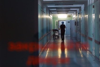 В российском регионе питбули сорвали скальп с мальчика
