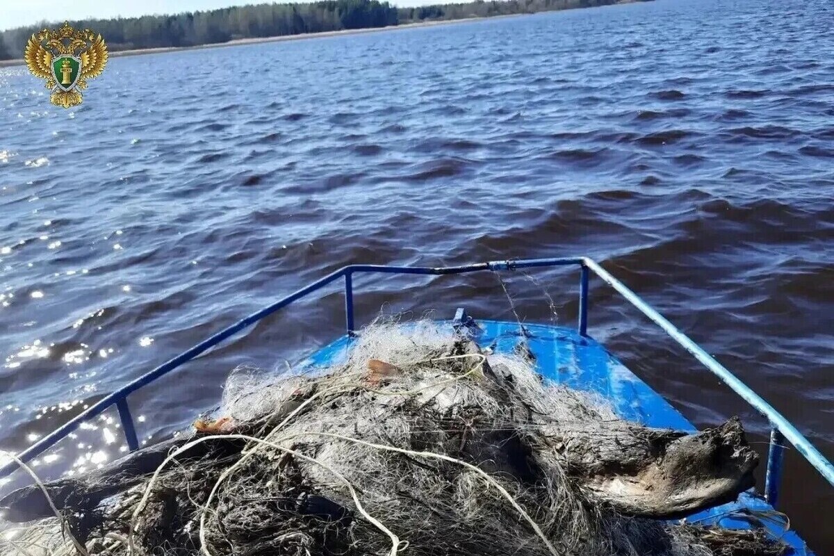 Тульская прокуратура изъяла бесхозные рыболовные сети с рек и водохранилищ