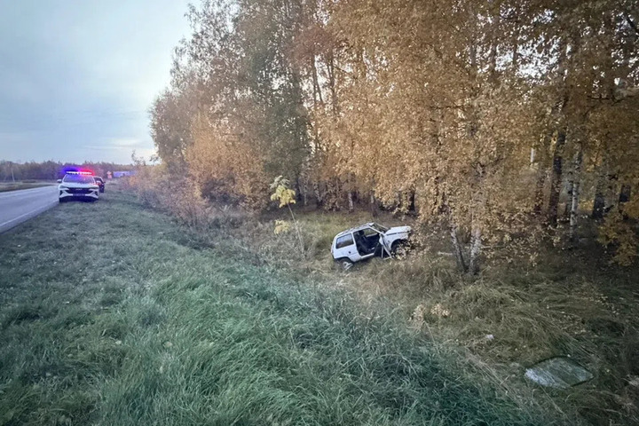 В Первомайском округе в кювет вылетела «Ока»