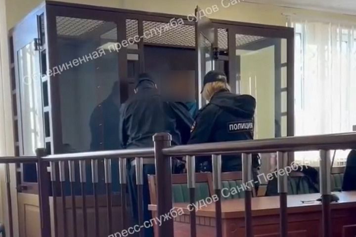 В Петербурге отправили в СИЗО 19-летнего подозреваемого в убийстве матери