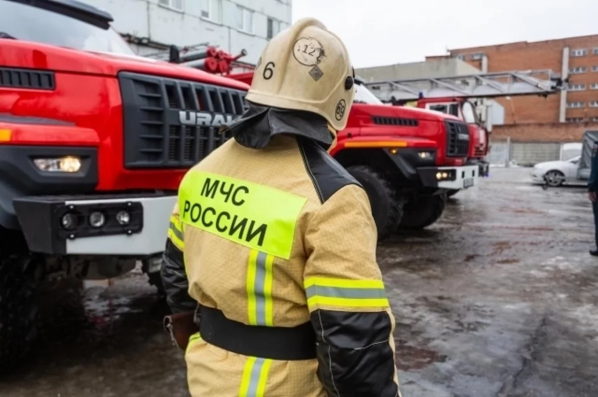В Ленобласти эвакуировали свыше 100 детей из горящего лагеря