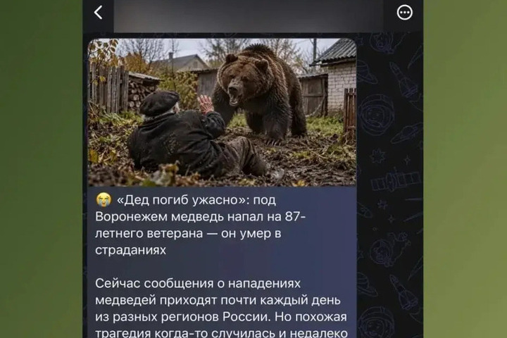 В Воронеже распространили фейк о нападении медведя на 87-летнего ветерана