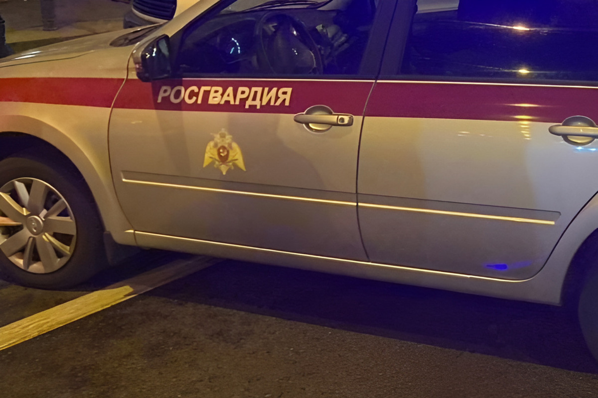 Разборка девушек на Греческом проспекте закончилась газовым облаком
