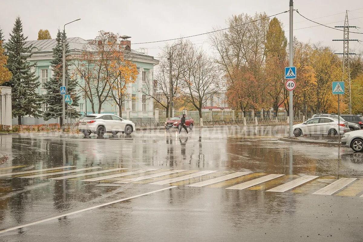 В Брянске на улице Мичурина возле ДК Горького установят светофор