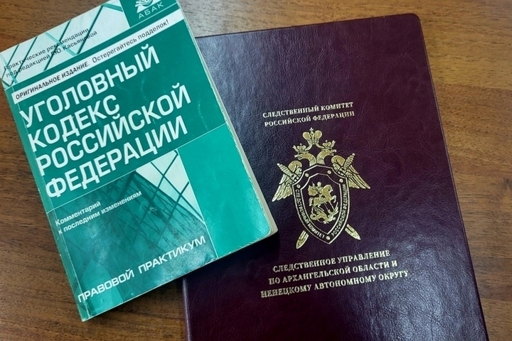Возбуждено дело против жителя Пинежья, применившего насилие к полицейскому