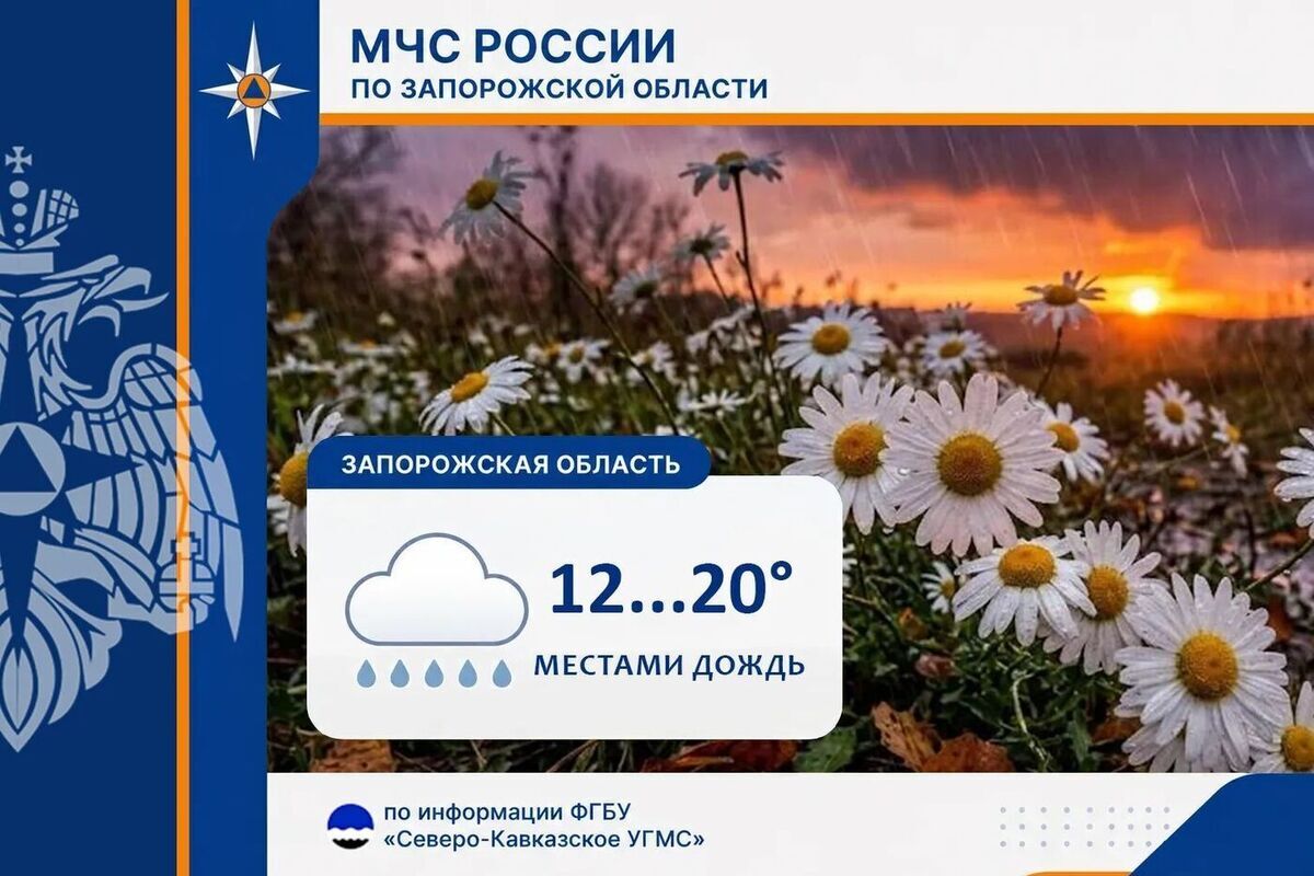 Грозовые дожди, град и сильный ветер: Запорожскую область настигнет непогода