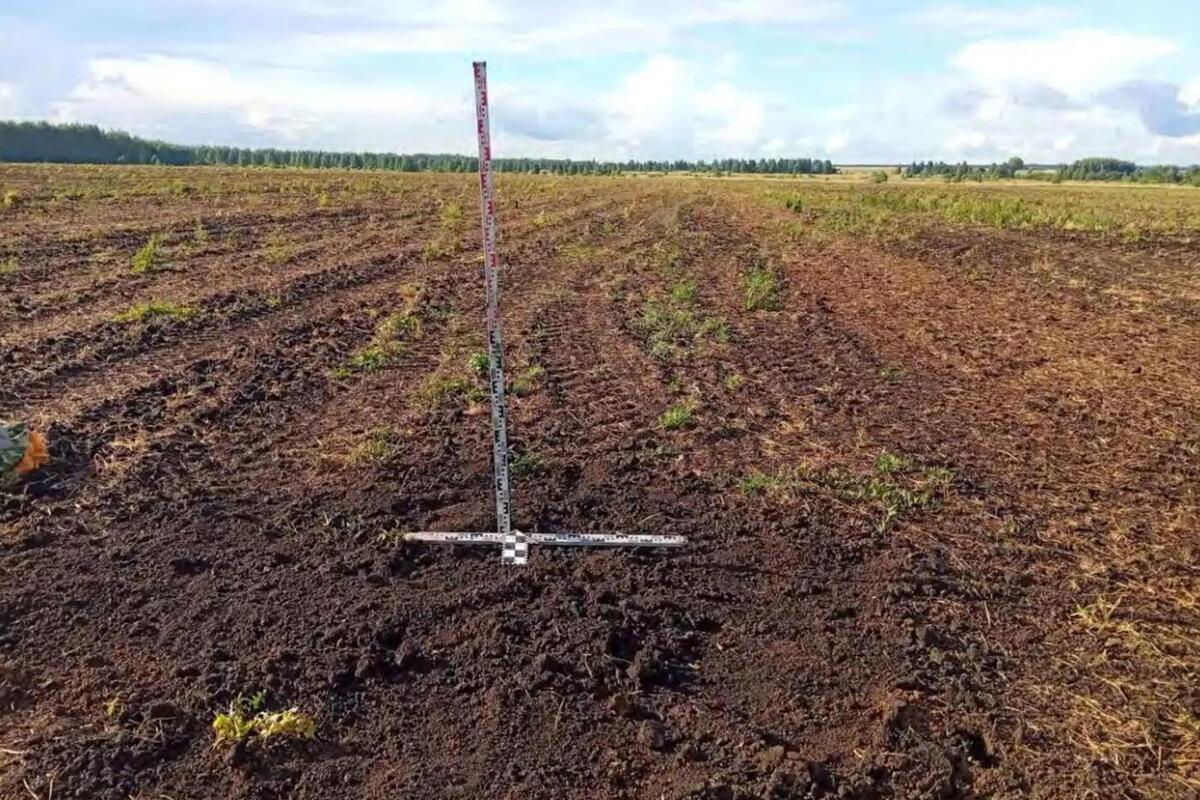 В Мокшанском районе археологи обследовали территорию на наличие объектов культурного наследия