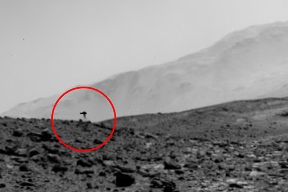 НЛО-медузы прилетают на Землю с Марса? На фото NASA обнаружены загадочные объекты