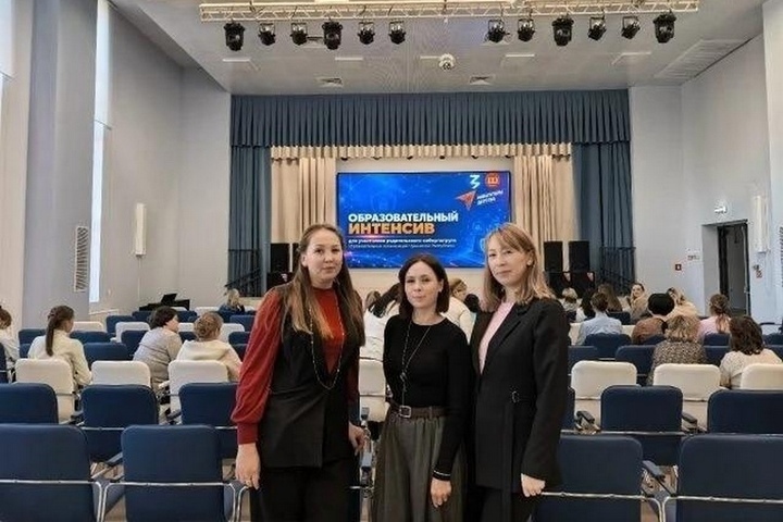 В Кугесях прошел киберурок для родителей