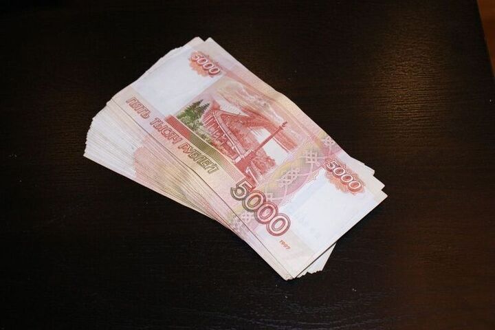 Житель Башкирии похитил незаконно полученную субсидию