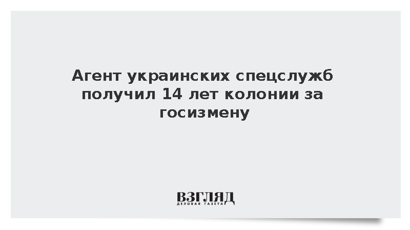 Агент украинских спецслужб приговорен в Запорожской области к 14 годам колонии