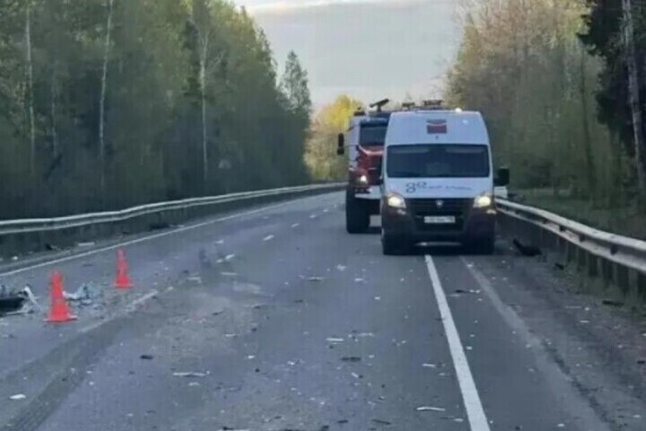 В Выборгском районе байкер съехал в кювет, врезался в камень и погиб