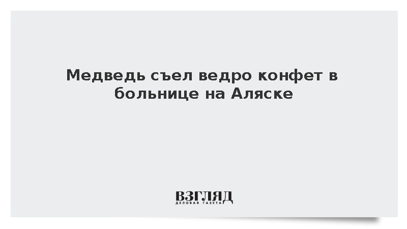 Черный медведь пробрался в больницу на Аляске и съел ведро конфет
