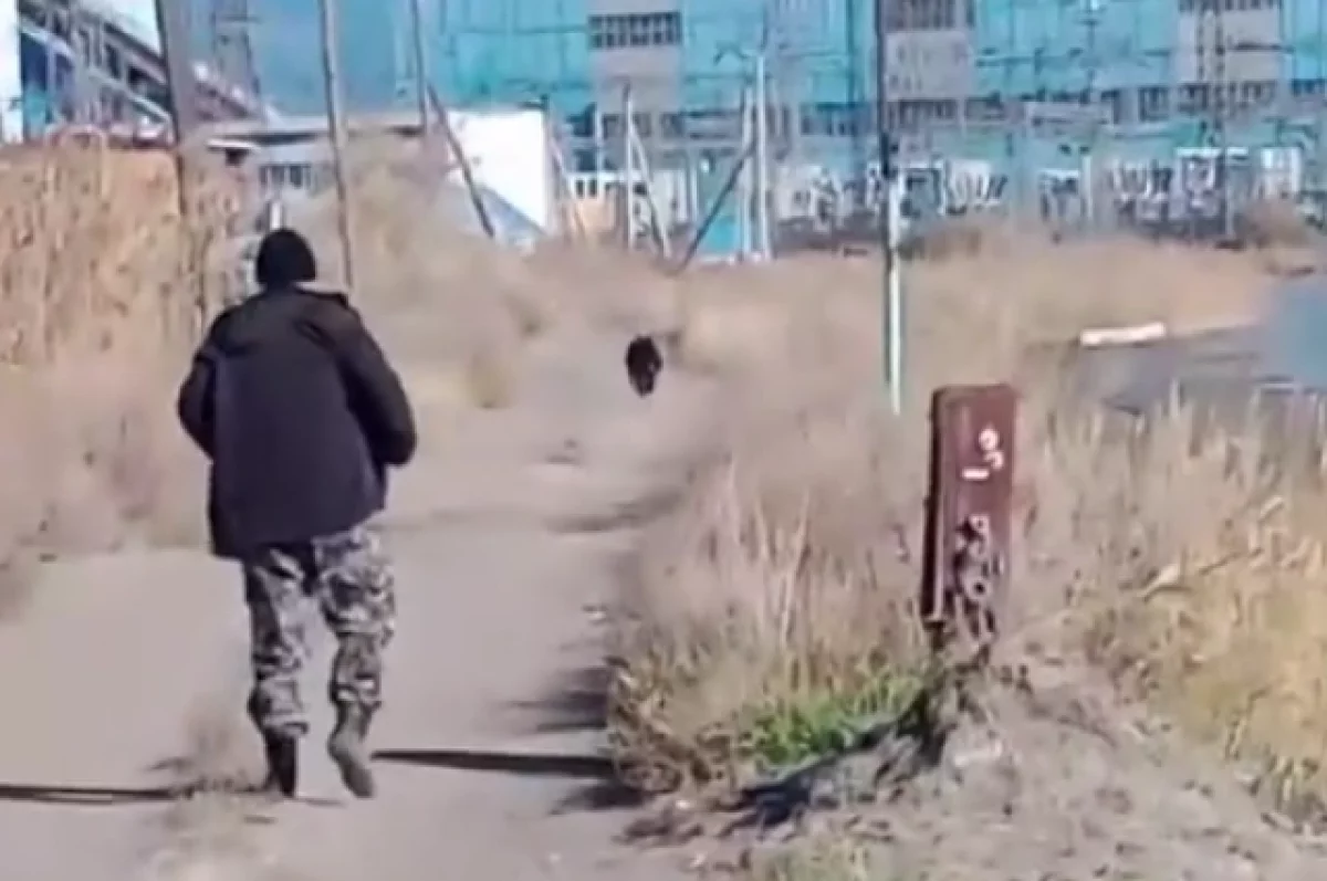В Бурятии сняли на видео, как мужчина рыком прогнал медведя возле ГРЭС