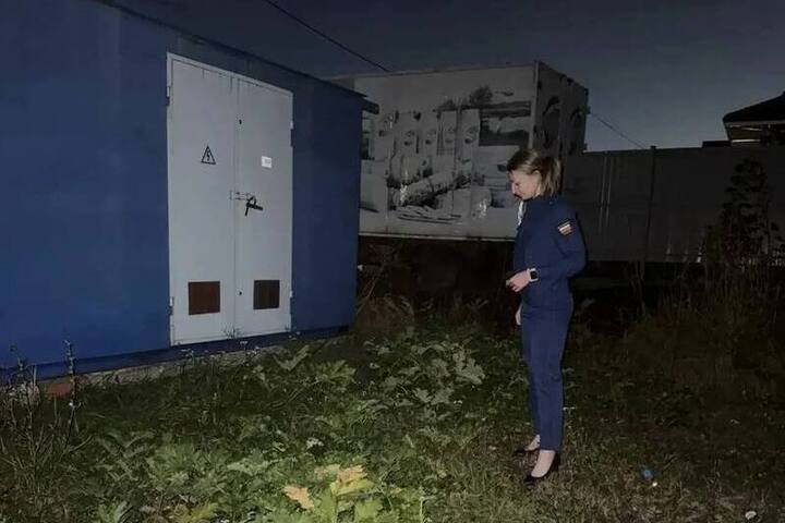 Прокуратура нашла нарушения при уничтожении борщевика в Курске