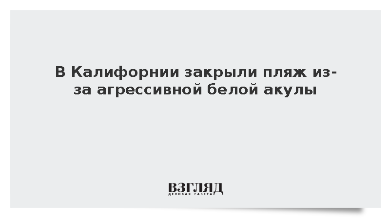 CBS: В Калифорнии временно закрыли пляж из-за трехметровой белой акулы