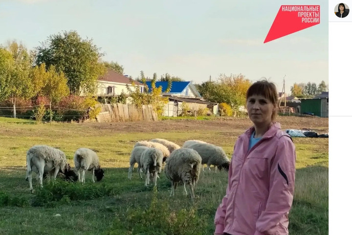 Белгородка купила овец и корм для них на деньги господдержки