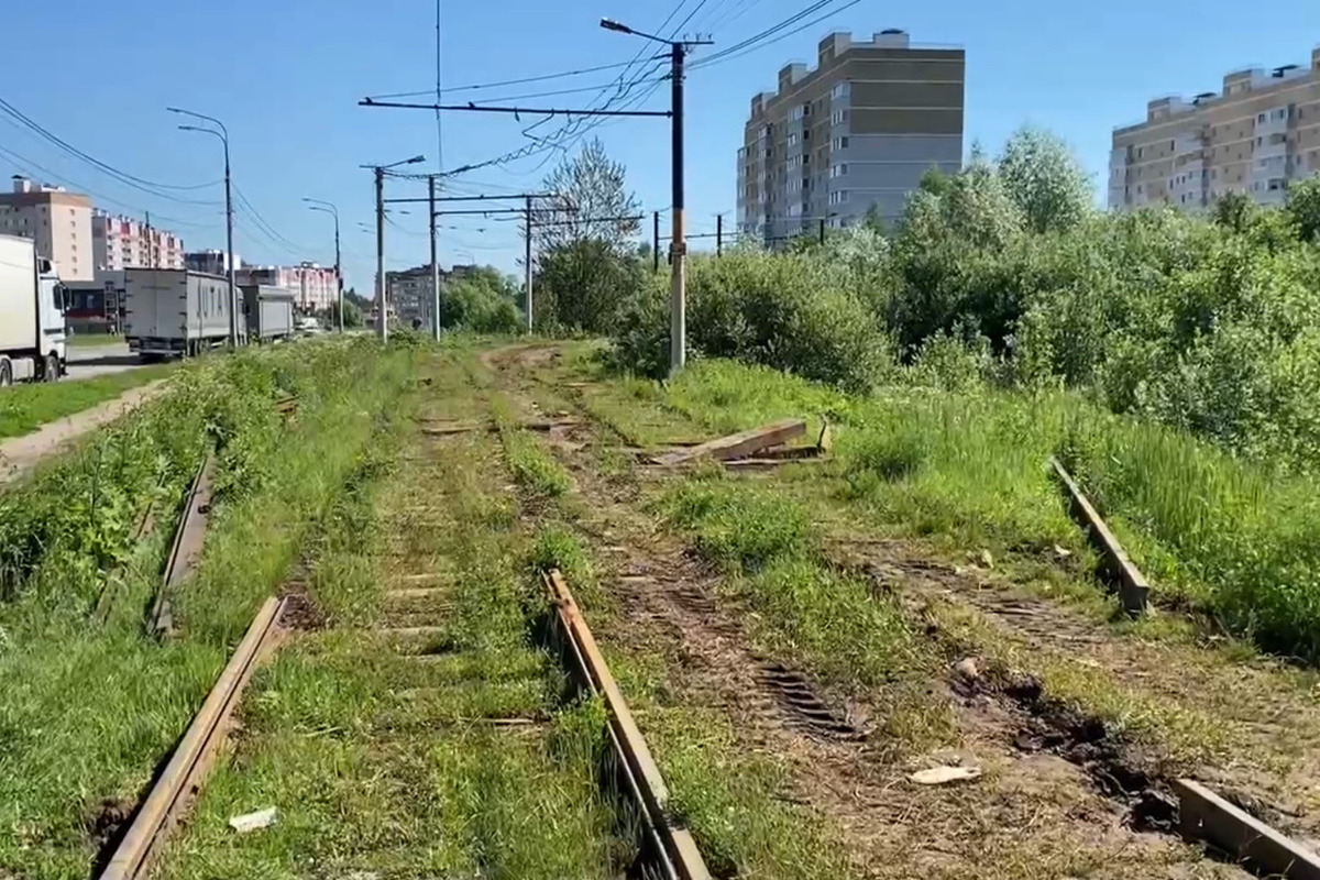 В Ярославле мэрия не будет платить за дерево, упавшее на автомобиль