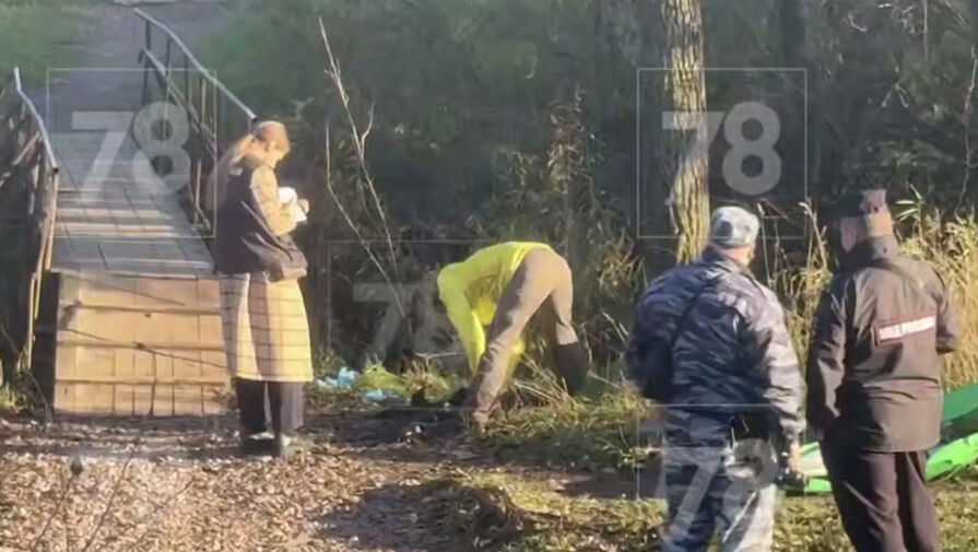 Найденное в Петербурге расчлененное тело могло пролежать на улице около недели