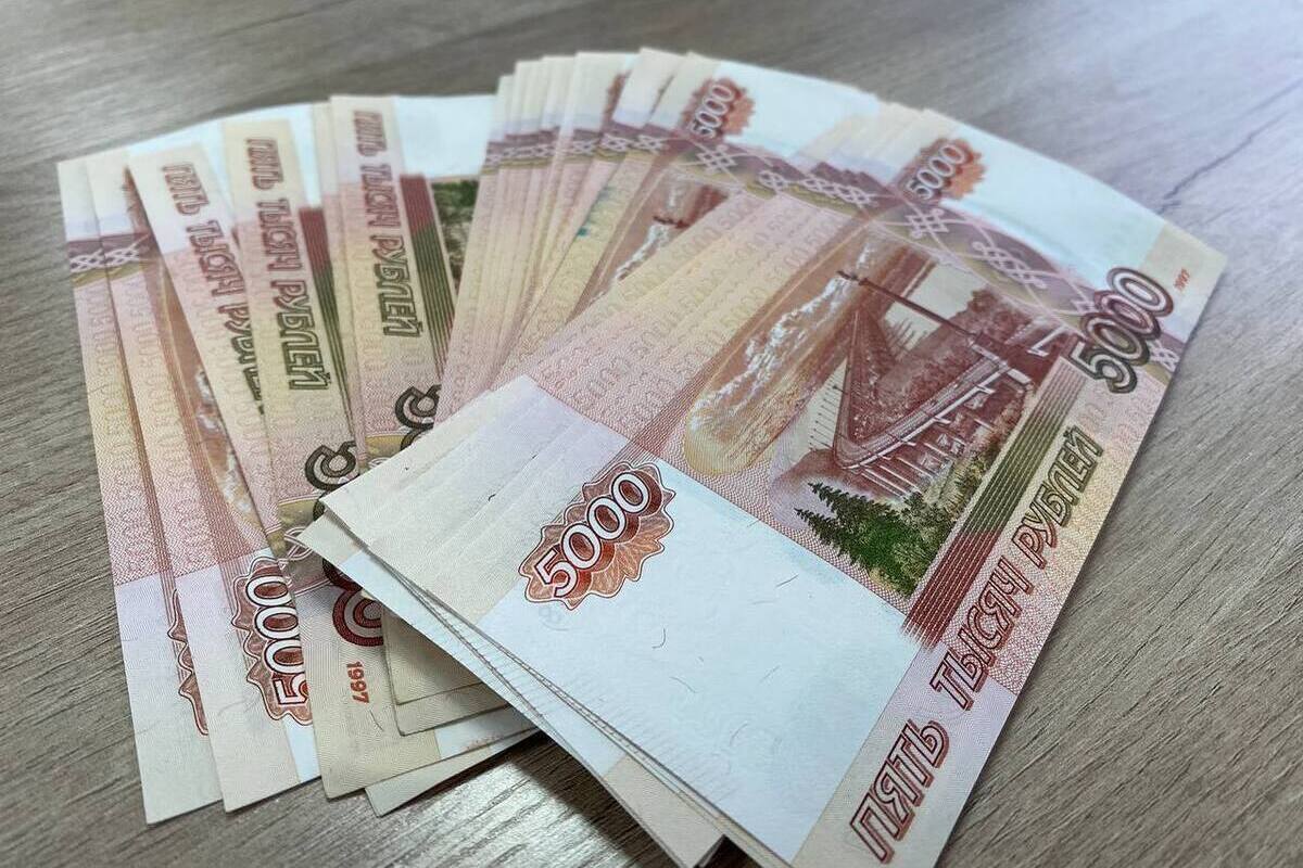 Фальшивый бизнес-план обошёлся лже-бедняку из Щекино в 200 тысяч руб